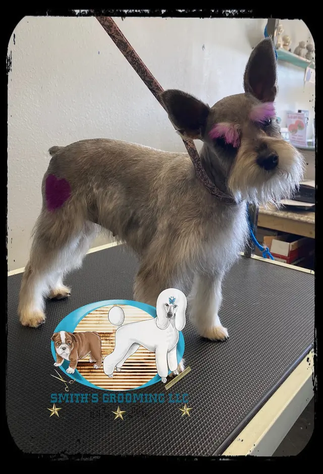 Smith's Grooming LLC — photo from the business 11