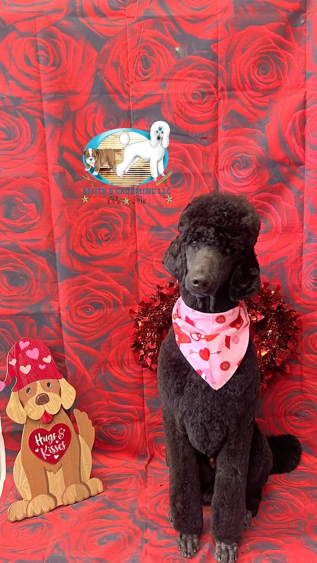 Smith's Grooming LLC — photo from the business 1