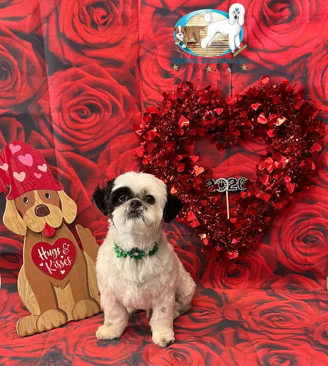 Smith's Grooming LLC — photo from the business 3