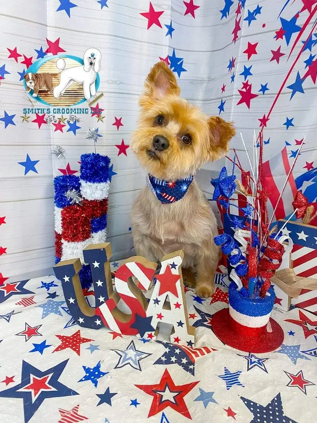 Customer photo of work by Smith's Grooming LLC, from Vicki Richardson's review