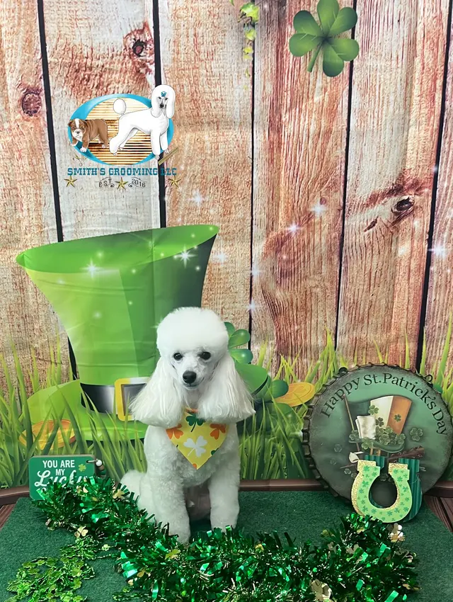 Smith's Grooming LLC — photo from the business 6