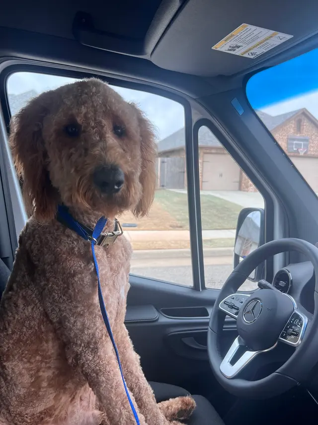 Furry Land Mobile Grooming Oklahoma City — photo from the business 11