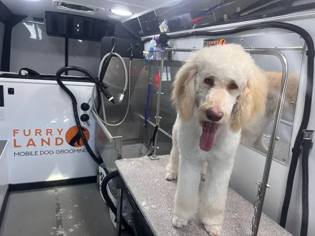 Furry Land Mobile Grooming Oklahoma City — photo from the business 7