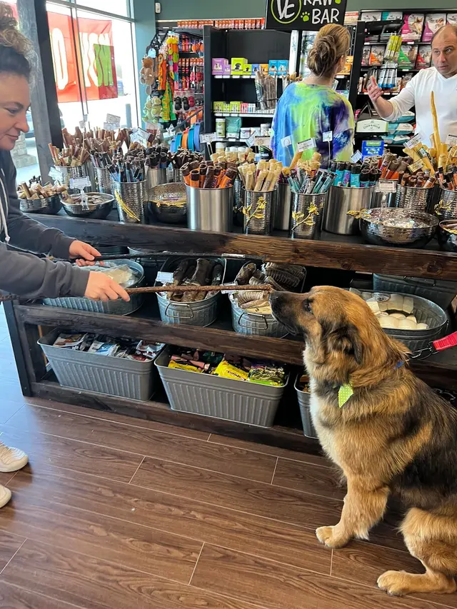 EarthWise Pet Supply & Grooming SWOKC — photo from the business 6