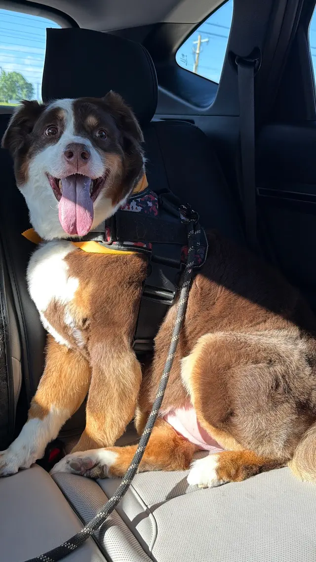 EarthWise Pet Supply & Grooming SWOKC — customer photo 12