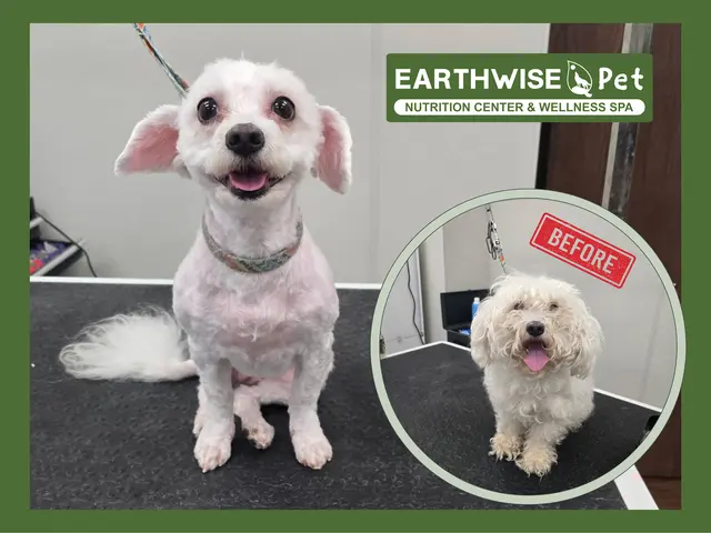 EarthWise Pet Supply & Grooming SWOKC — photo from the business 4