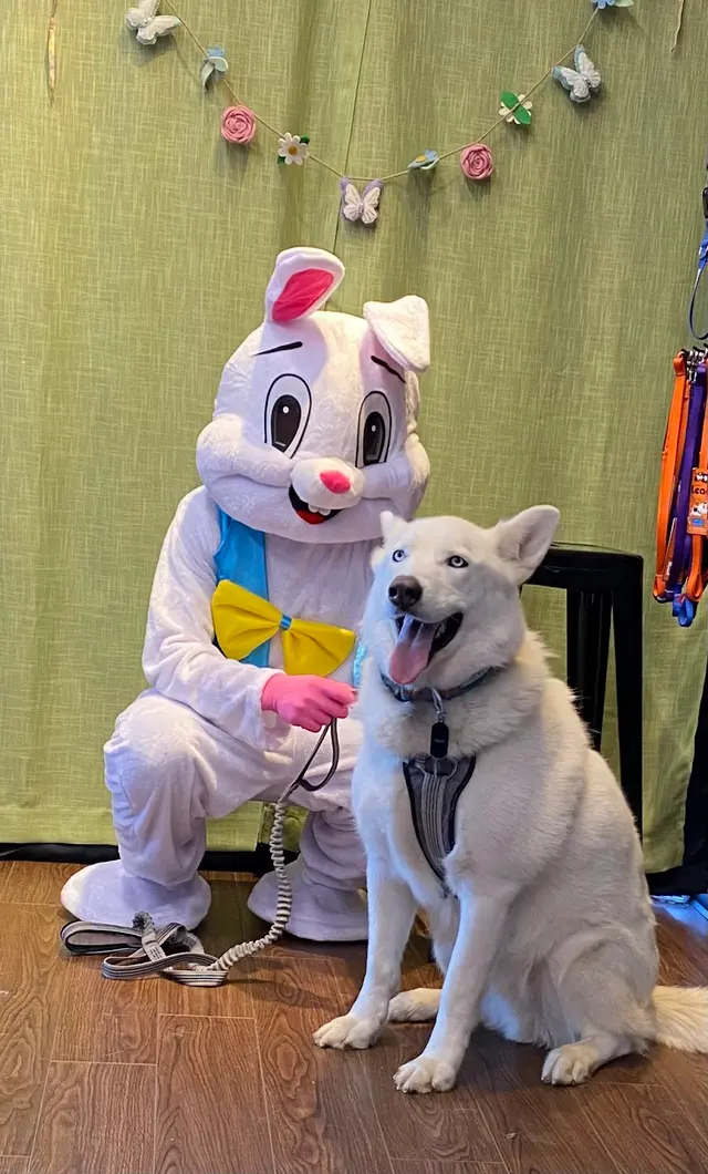 EarthWise Pet Supply & Grooming SWOKC — photo from the business 9