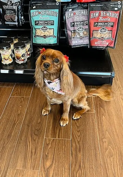 EarthWise Pet Supply & Grooming SWOKC — photo from the business 10