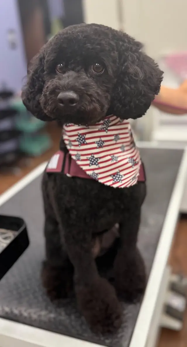 EarthWise Pet Supply & Grooming SWOKC — photo from the business 7