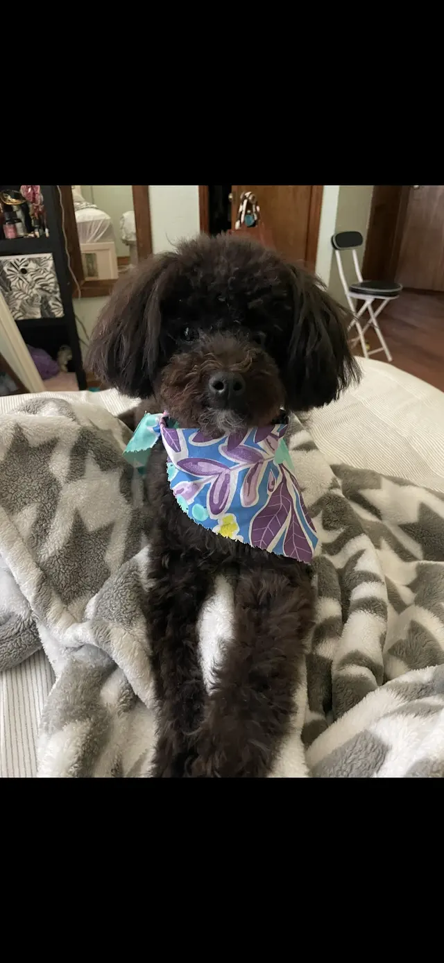 Customer photo from Jessica's review