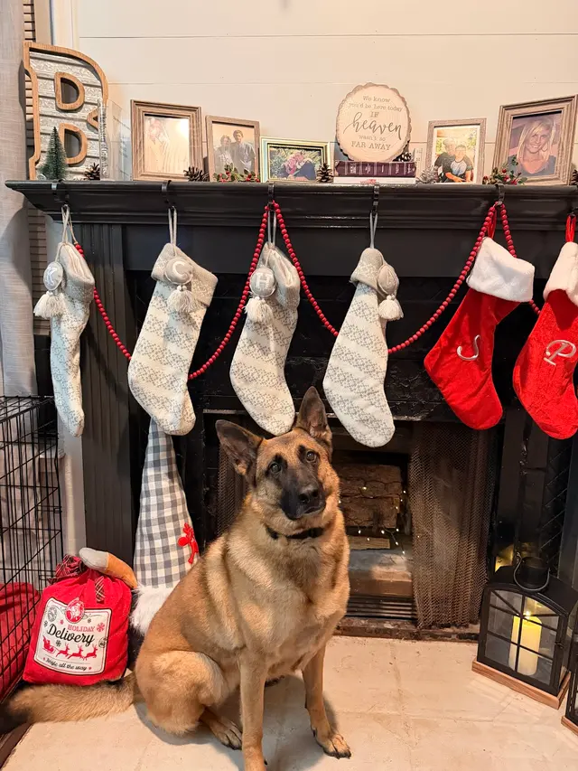 The Grand Dog Grooming and Wellness — customer photo 10