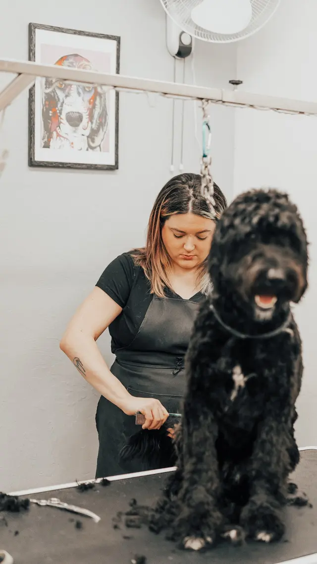 The Awesome Pawsome Pet salon & supply — photo from the business 5