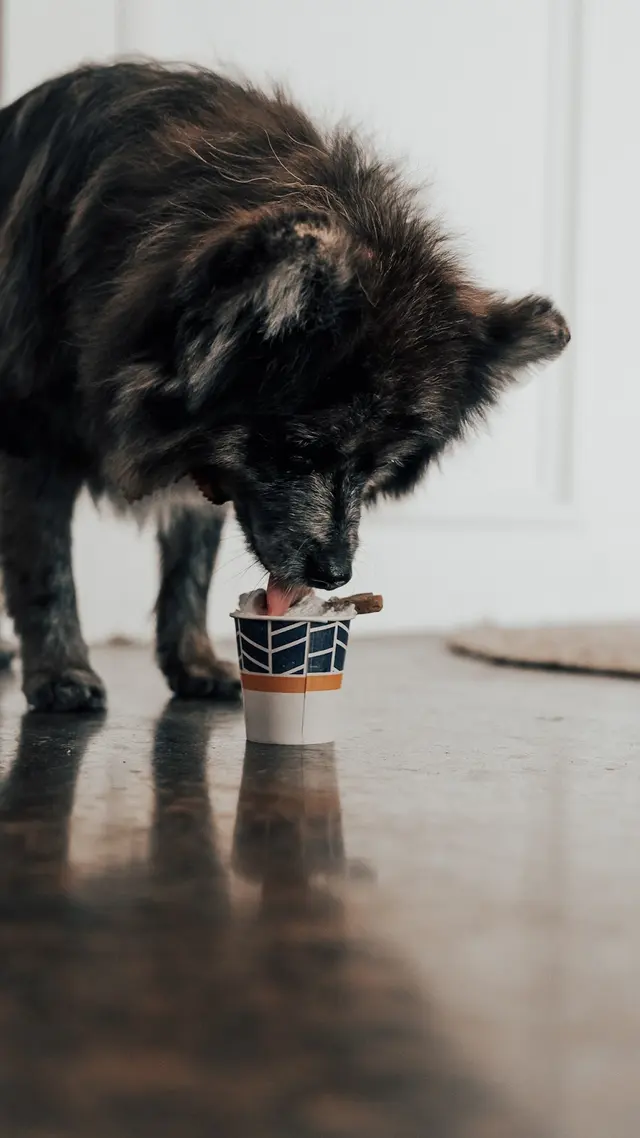 The Awesome Pawsome Pet salon & supply — photo from the business 9