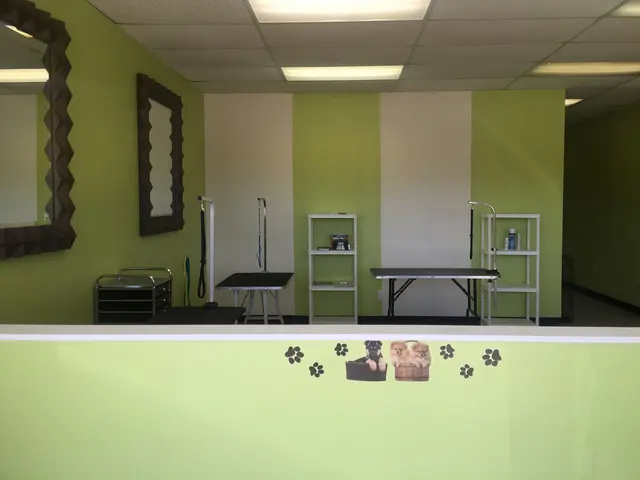 Aurbyn's Bark' N Beauty's Dog Grooming — photo from the business 8