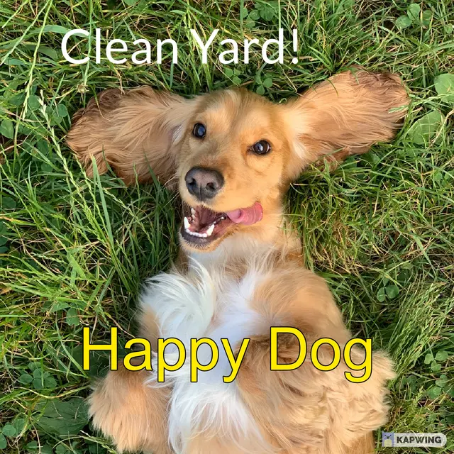 Call of Doody Pet Waste Removal, LLC — photo from the business 12