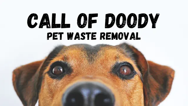 Call of Doody Pet Waste Removal, LLC — photo from the business 1
