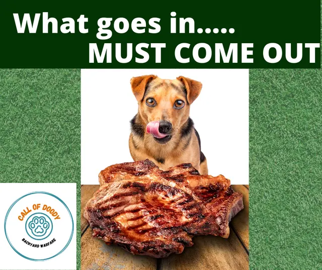 Call of Doody Pet Waste Removal, LLC — photo from the business 6