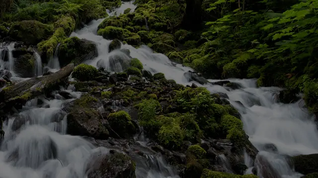 Wingfield Environmental — photo from the business 1