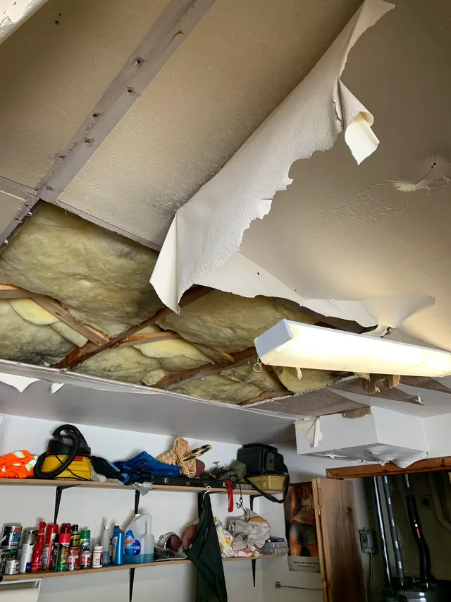 Rex Environmental — photo from the business 4