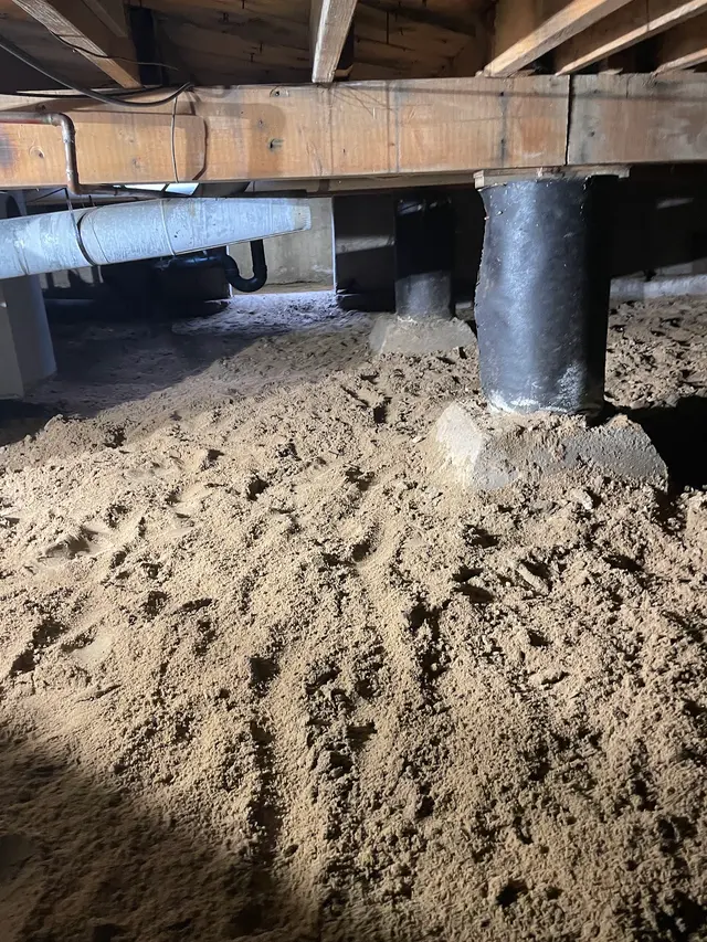 Rex Environmental — photo from the business 10
