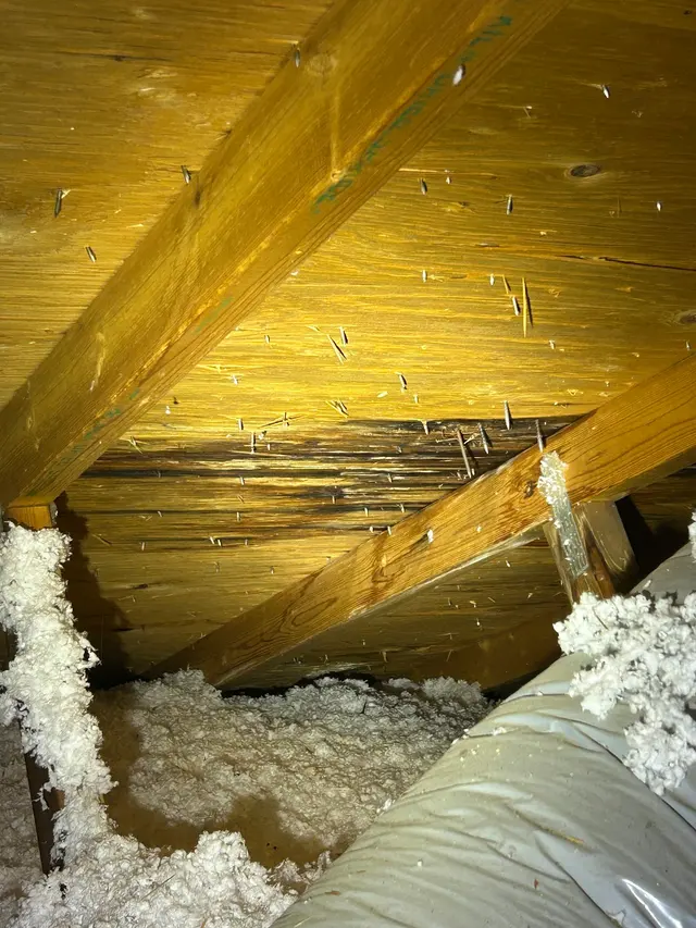 Skyline Property Services — photo from the business 3