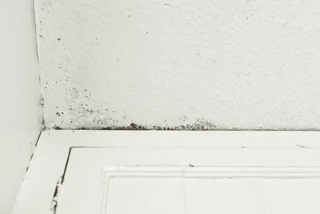 EnvioCore | Environmental Testing — photo from the business 11