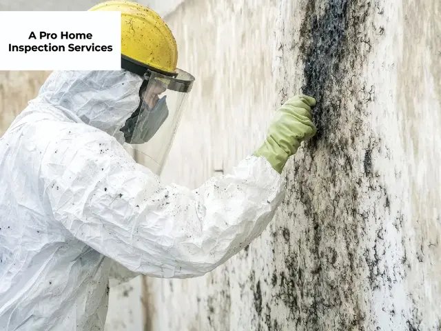 A Pro Home Inspection Services — photo from the business 8