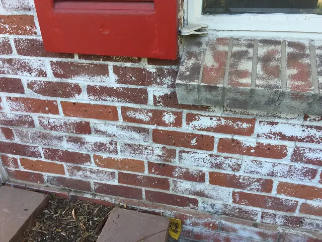 Colorado Asbestos Inspections, LLC — photo from the business 12