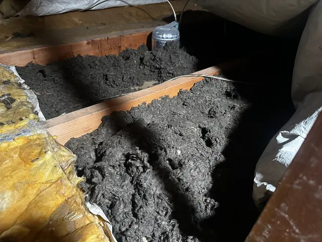 Colorado Asbestos Inspections, LLC — photo from the business 9