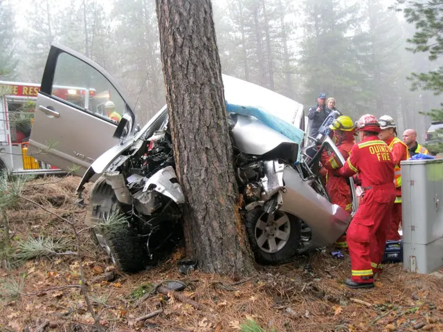 Brandon J Broderick, Personal Injury Attorney at Law — photo from the business 8