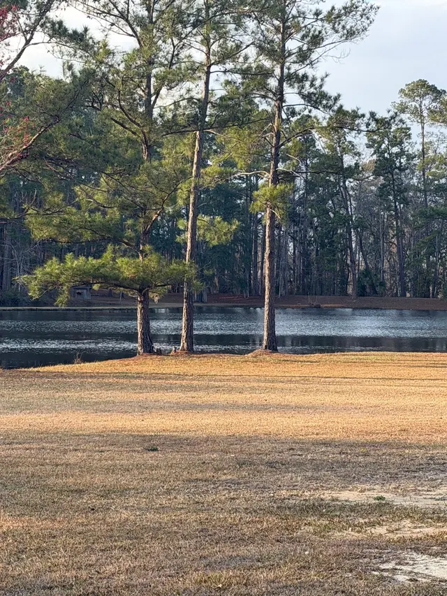 Heart Pine Lakeside Venue — customer photo 11