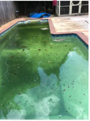 ASP - America's Swimming Pool Company of Atlanta — customer photo 10