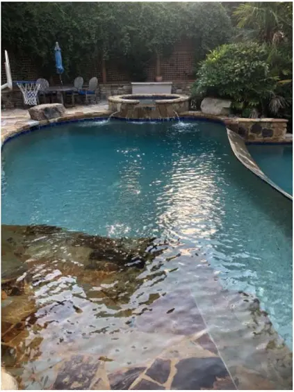 Customer photo from Bloom's review