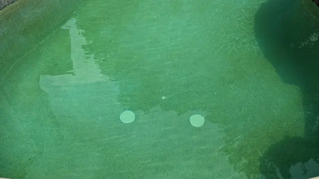 ASP - America's Swimming Pool Company of Atlanta — customer photo 11