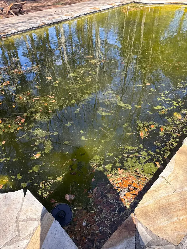 Customer photo of work by Perez Pools LLC, from Amy Traore's review