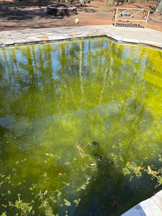 Customer photo of work by Perez Pools LLC, from Amy Traore's review