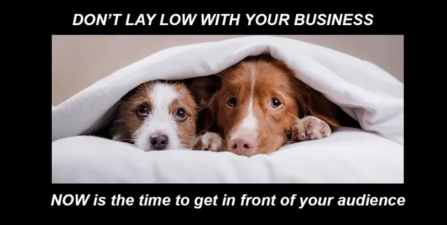 Ball Media Innovations, Inc — photo from the business 12