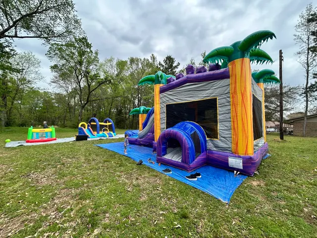 Treehouse Party Rentals — customer photo 12