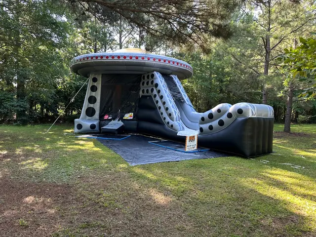Bengal Bounce & Lagniappe — photo from the business 6
