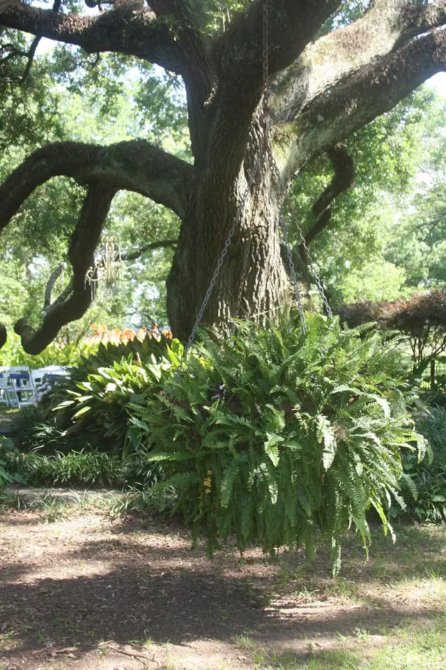 Caspiana Plantation House — photo from the business 11