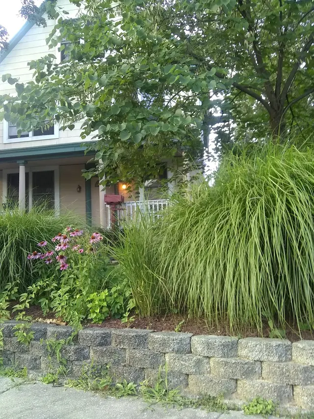 Your Healing Place — customer photo 10