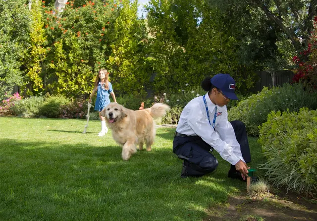 Clark Pest Control — photo from the business 4