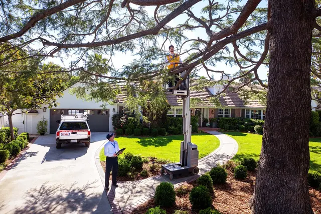 Clark Pest Control — photo from the business 11