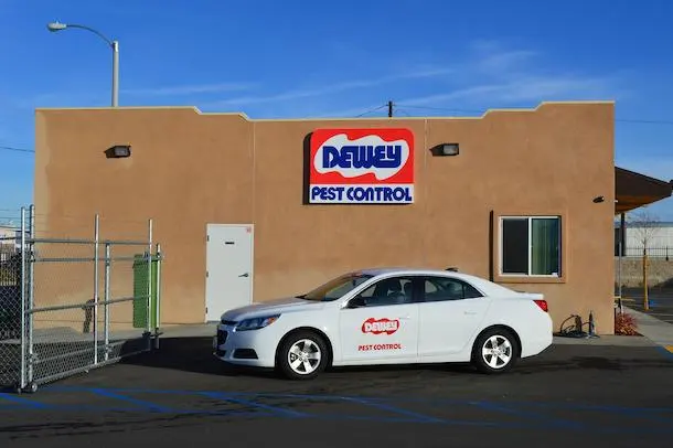 Dewey Pest & Termite Control — photo from the business 2