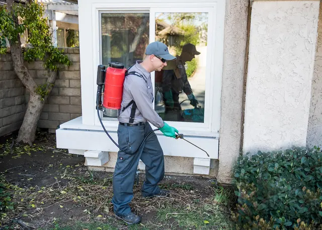 Hydrex Pest Control — photo from the business 2