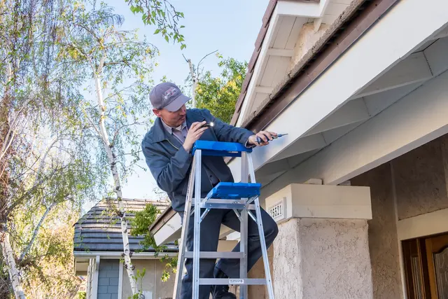 Hydrex Pest Control — photo from the business 5
