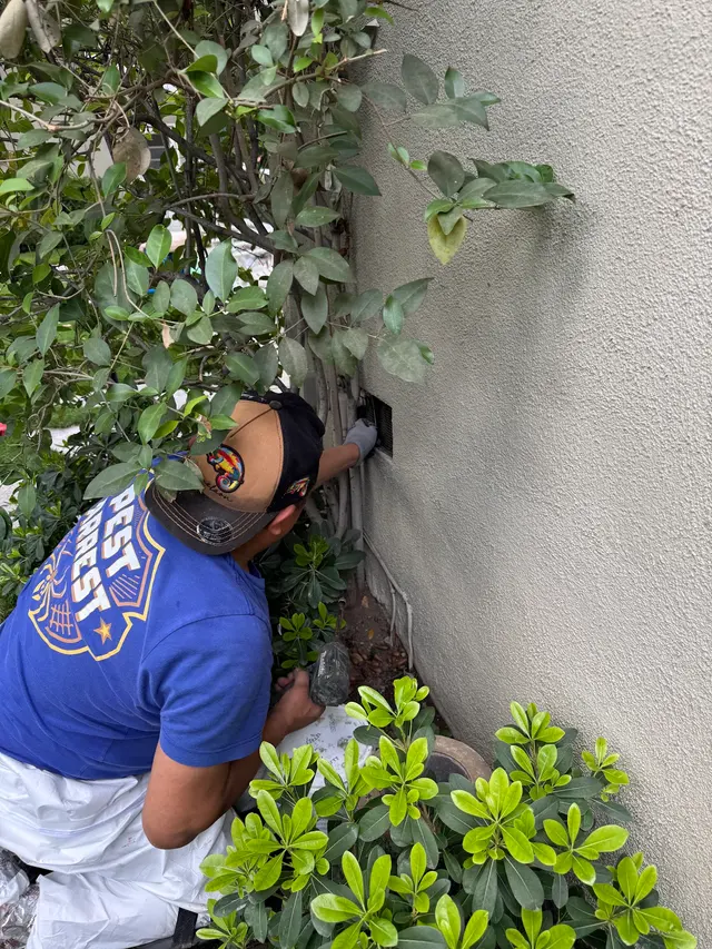 Pest Arrest — photo from the business 12