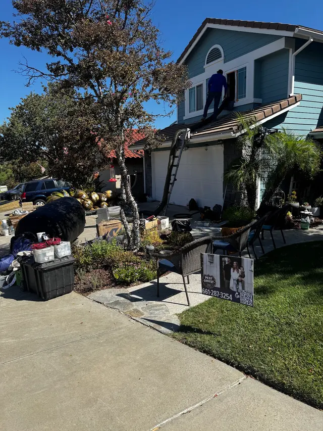 Pest Arrest — photo from the business 11