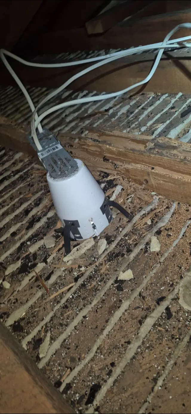 Pest Arrest — photo from the business 8