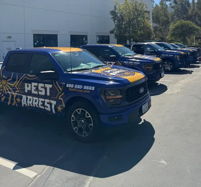 Pest Arrest — photo from the business 3